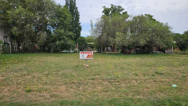 Lote residencial calle 6 casi 201